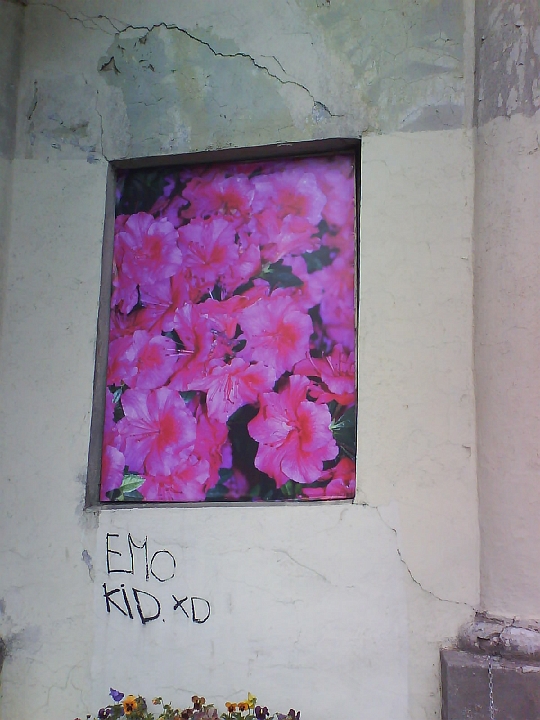 2009_LV_LT_SV_D 178